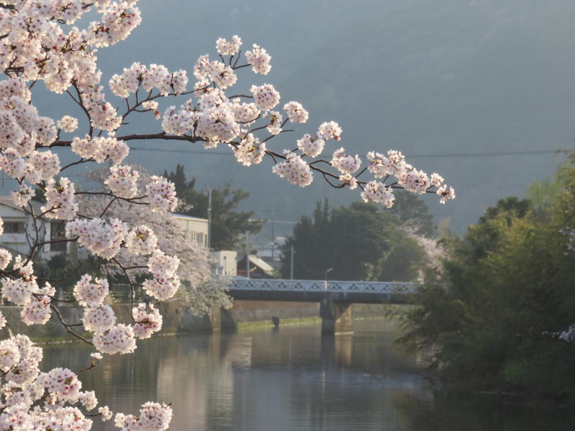 御宿 in Im Matsuzaki  Eksteriør bilde